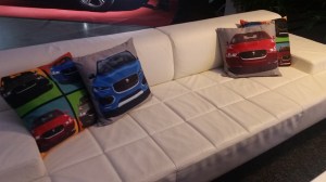 The Jaguar Lounge is a place to relax and watch your Audition Video