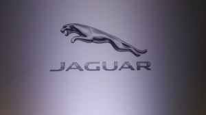 Jaguar features the iconic "The Leaper" mascot of the brand since 1938,
