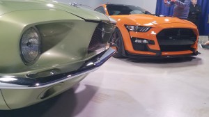 ford mustang cobra front end