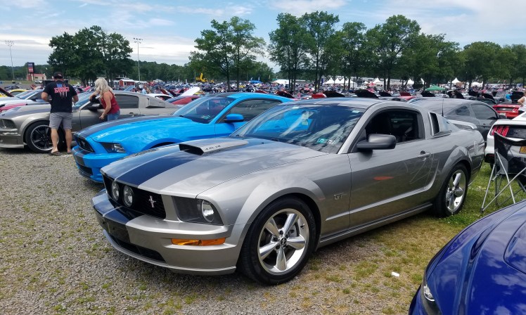 Ford Mustangs at American Muscle Mustang Show 2019