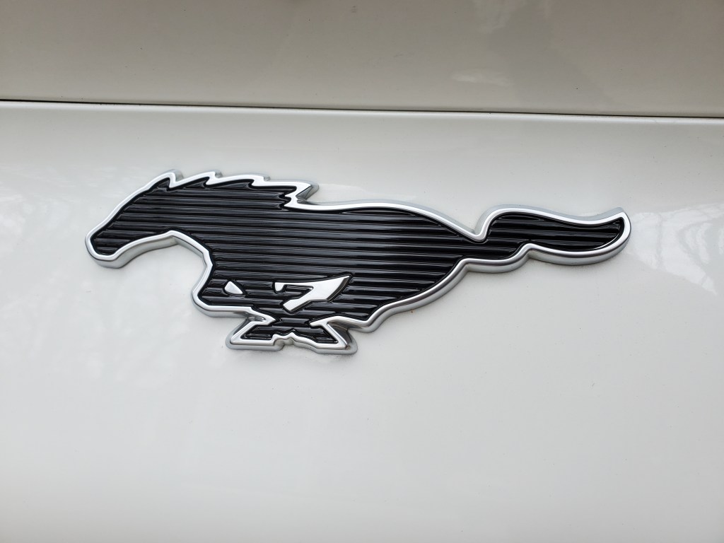 mustang logo on the ford mache