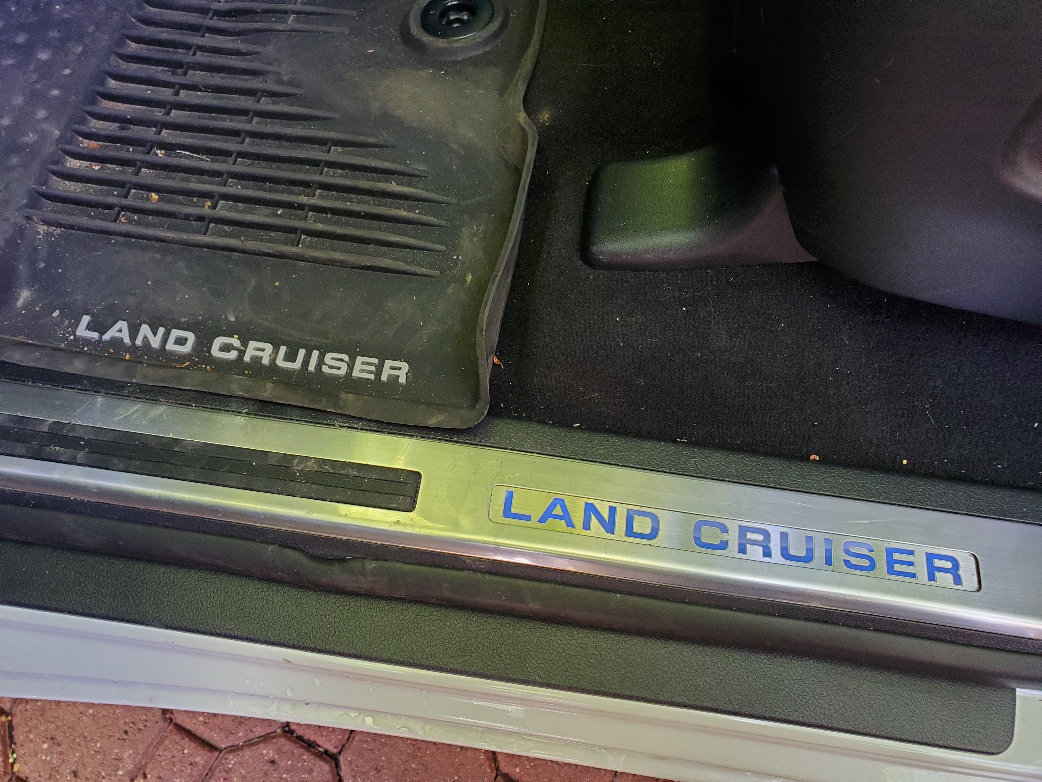 Land Cruiser Logos on the door sills