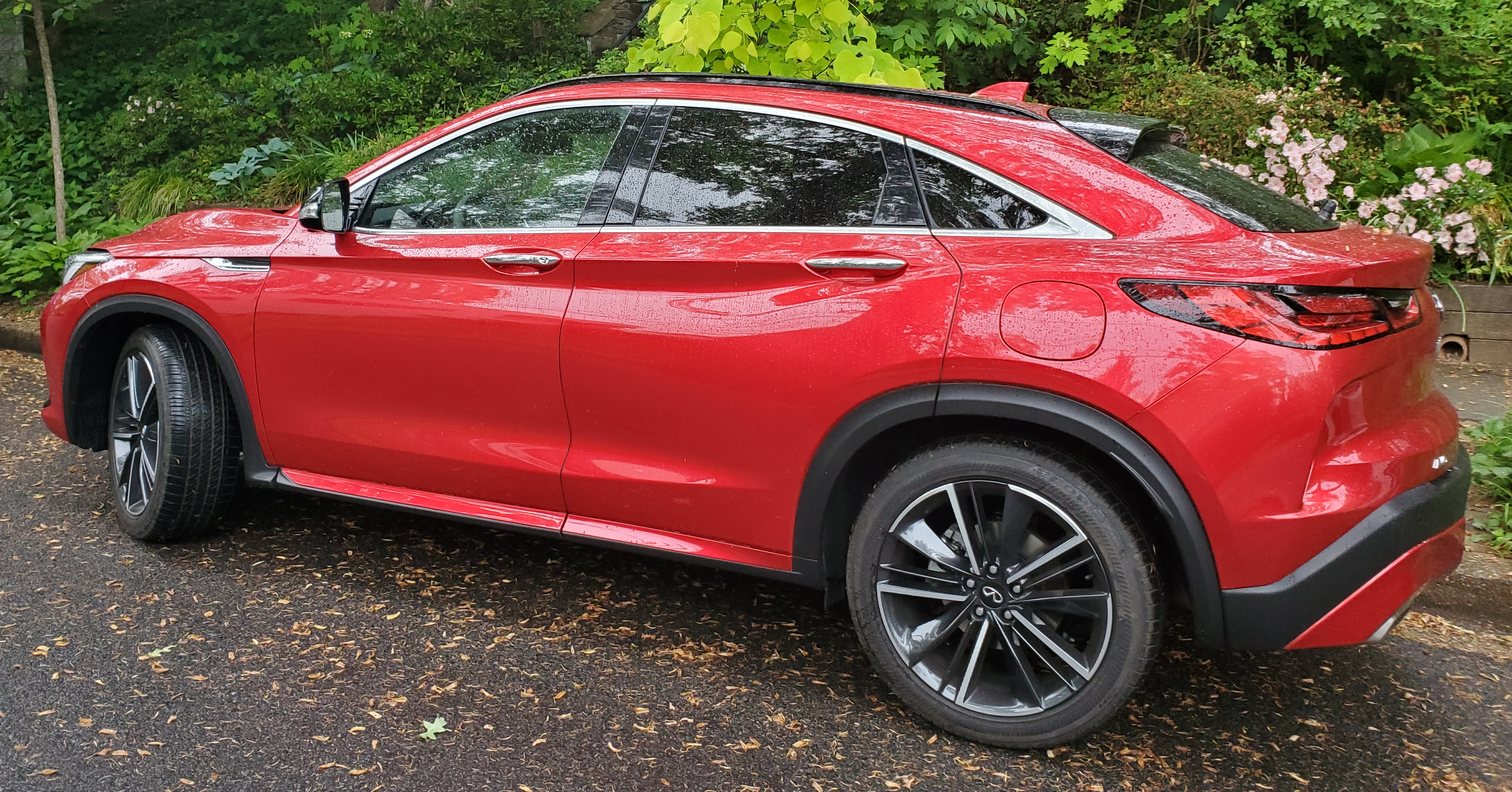 Infiniti QX55 Left Rear Side